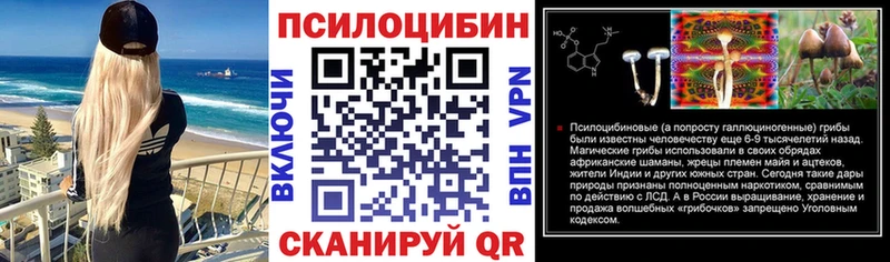 Псилоцибиновые грибы Psilocybe  где продают   Новоульяновск 
